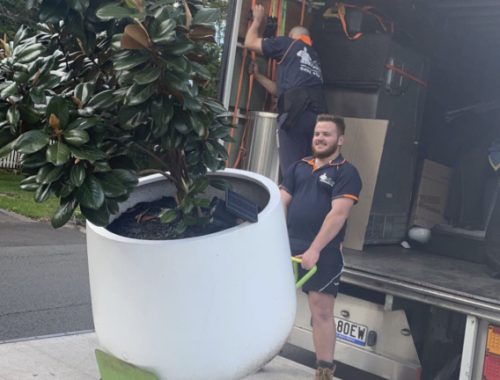 House relocation specialists helping customers settle into new homes