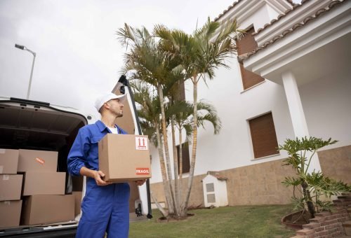 House removal service with labelled cartons ready for relocation